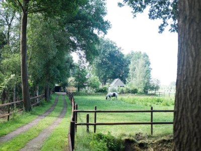 Holiday park Chic Glamping Escape with Pool - Environment photo 33
