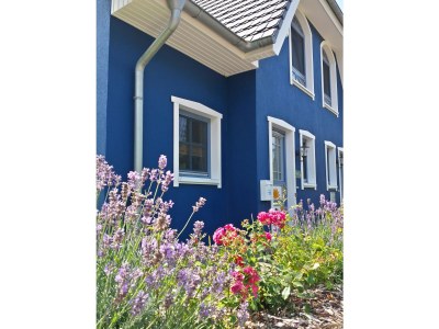 Holiday house Villa Blaubeer in Zingst - Holiday house