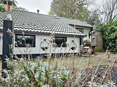 Holiday house Malerischer Aufenthalt in der Nähe von Stadt und See - Outdoor photo 6