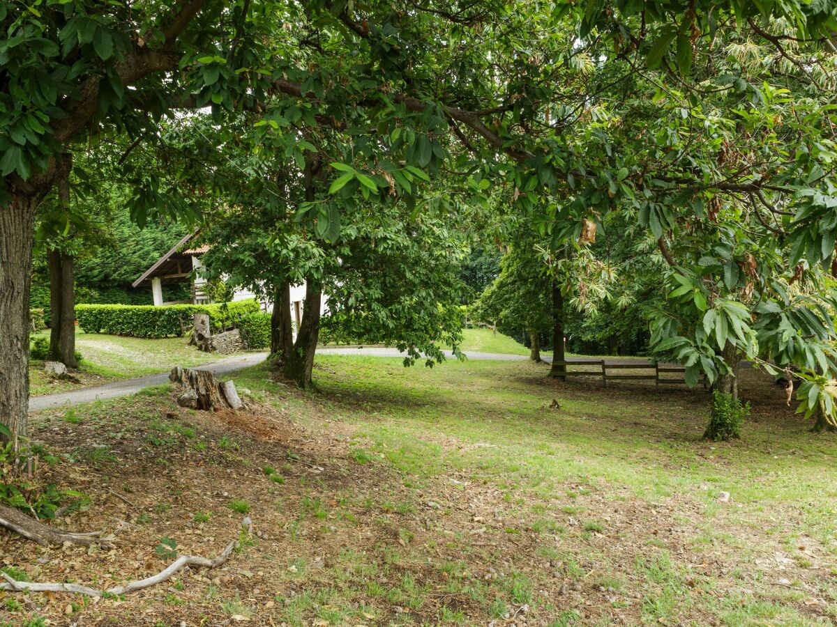 Farmhouse Bauernhaus in Verbania mit Seeblick - Outdoor photo 3