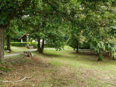 Farmhouse Bauernhaus in Verbania mit Seeblick - Outdoor photo 3