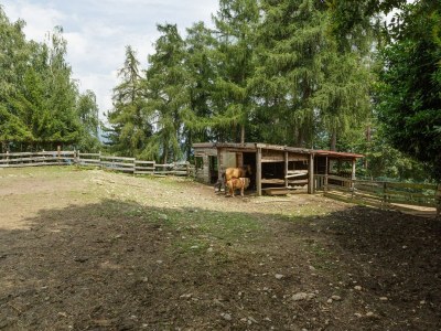 Farmhouse Bauernhaus in Verbania mit Seeblick - Outdoor photo 36