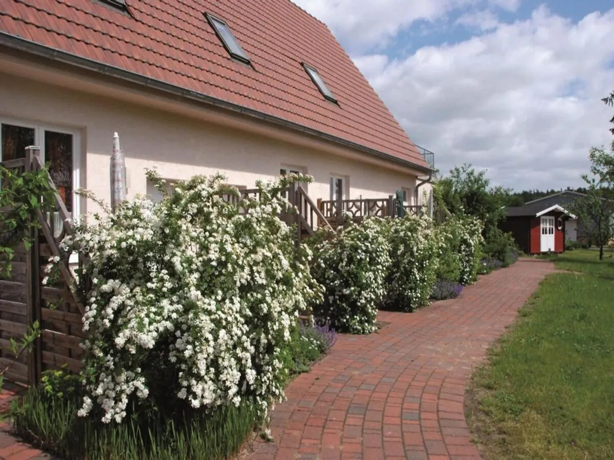 Apartment Ferienwohnung in Buchholz am Müritzsee - Outdoor photo 5