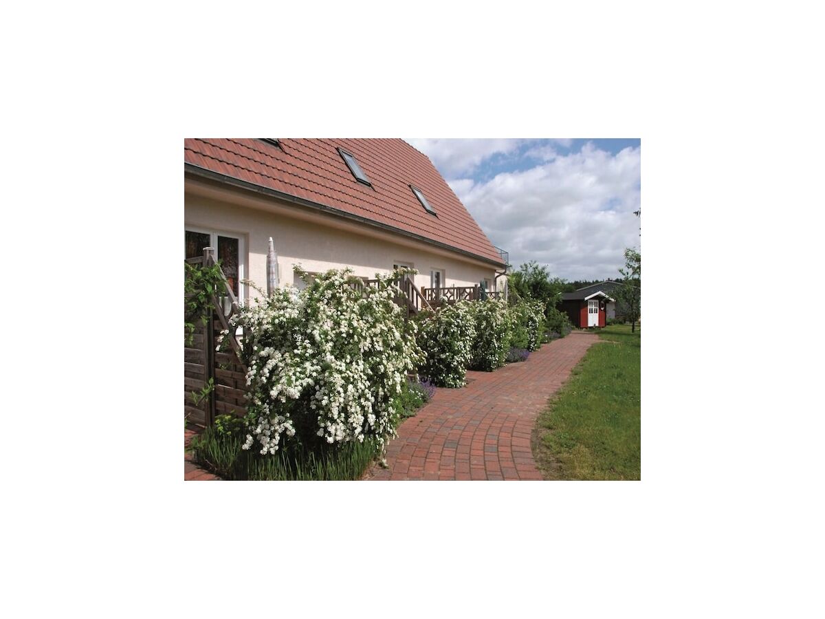 Apartment Ferienwohnung in Buchholz am Müritzsee - Outdoor photo 3