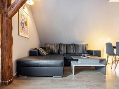 Apartment Studio in Buchholz am Müritzsee - Features photo 25