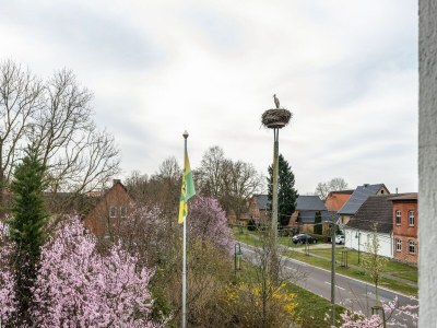 Apartment Studio in Buchholz am Müritzsee - Outdoor photo 2