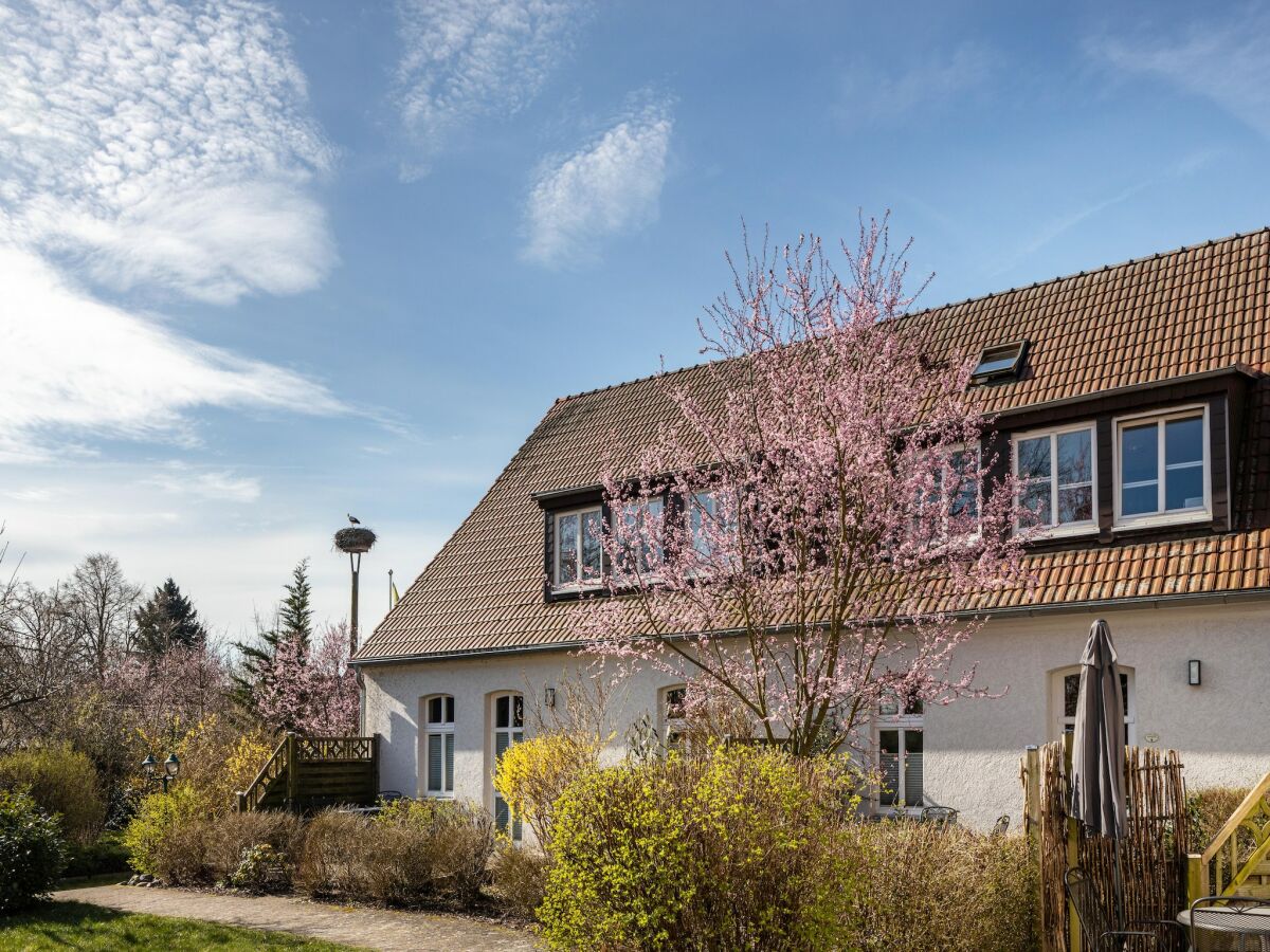 Apartment Studio in Buchholz am Müritzsee - Outdoor photo 2