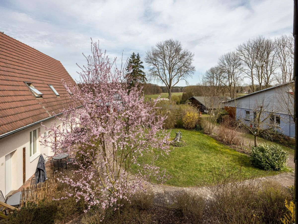 Apartment Studio in Buchholz am Müritzsee - Outdoor photo 3