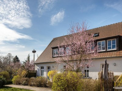 Apartment Studio in Buchholz am Müritzsee - Outdoor photo 2