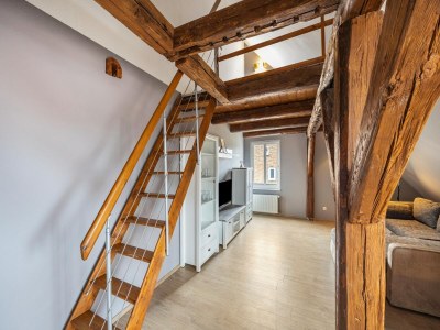 Apartment Studio in Buchholz am Müritzsee - Features photo 17