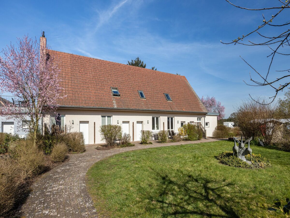 Holiday house Reihenhaus mit WLAN in Buchholz am Müritzsee - Outdoor photo 4