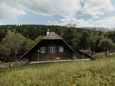 Holiday room Ferienhaus "Zieslerhaus" - Outdoor photo 30