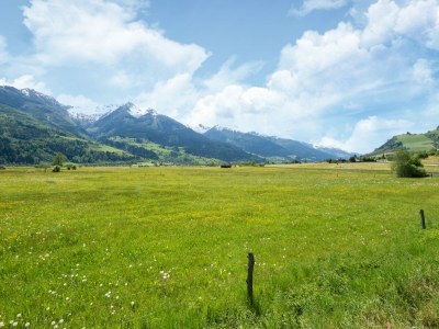 Apartment Apartment in Piesendorf near Ski Slopes - Environment photo 32