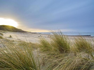Holiday park Villa in Cadzand-Bad near North Sea Beach - Environment photo 28