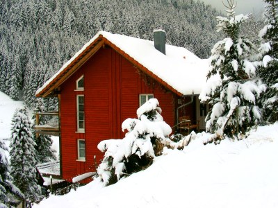 Holiday house Bullerbü Hütte in Alpirsbach - Holiday house