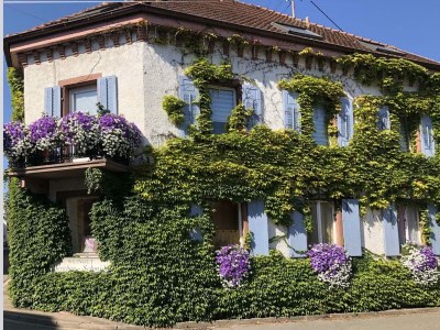 Apartment Ferienwohnung  Monet in Oberrotweil in Kaiserstuhl - Apartment