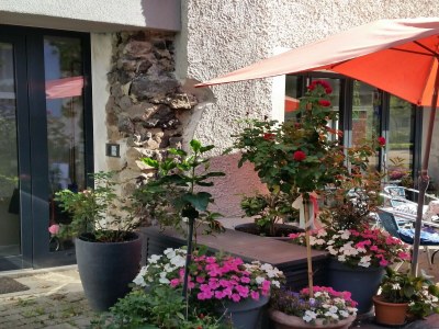 Apartment Weinberg-Ferienwohnung, Oberrotweil - Outdoor photo 6