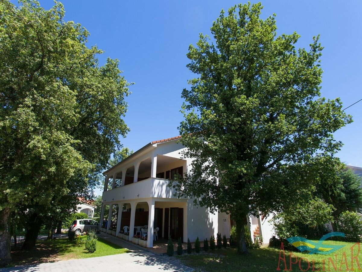 Apartment Geräumige Wohnung mit Terrasse und Garten