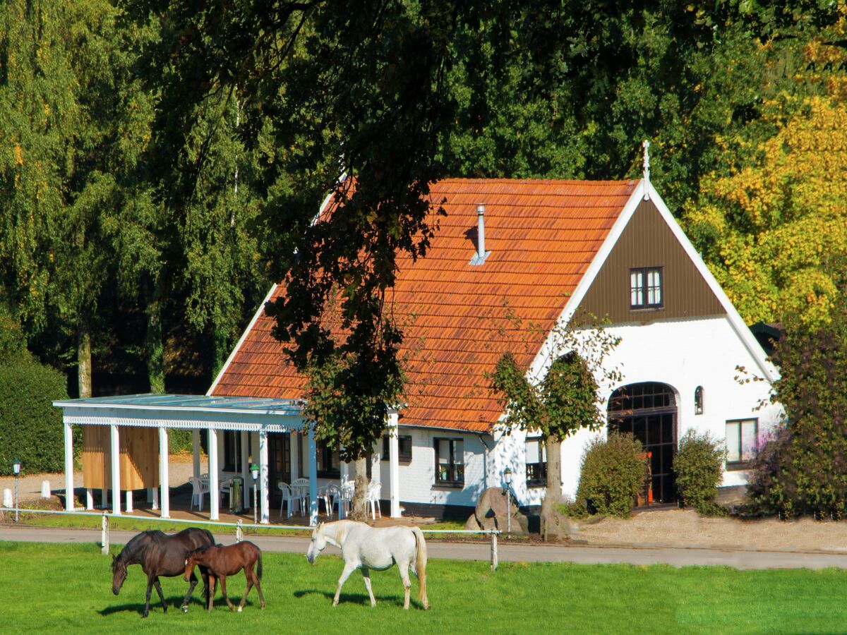 Holiday park Chalet in Netherlands with Private Garden