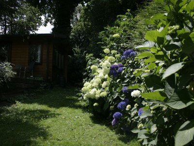 Holiday park Chalet in Netherlands with Private Garden - Outdoor photo 6