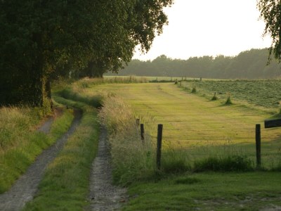 Holiday park Chalet in Netherlands with Private Garden - Environment photo 14