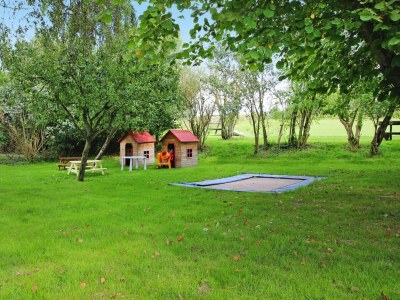 Holiday house Ferienhaus im Müritz-Nationalpark in Mirow - Outdoor photo 6