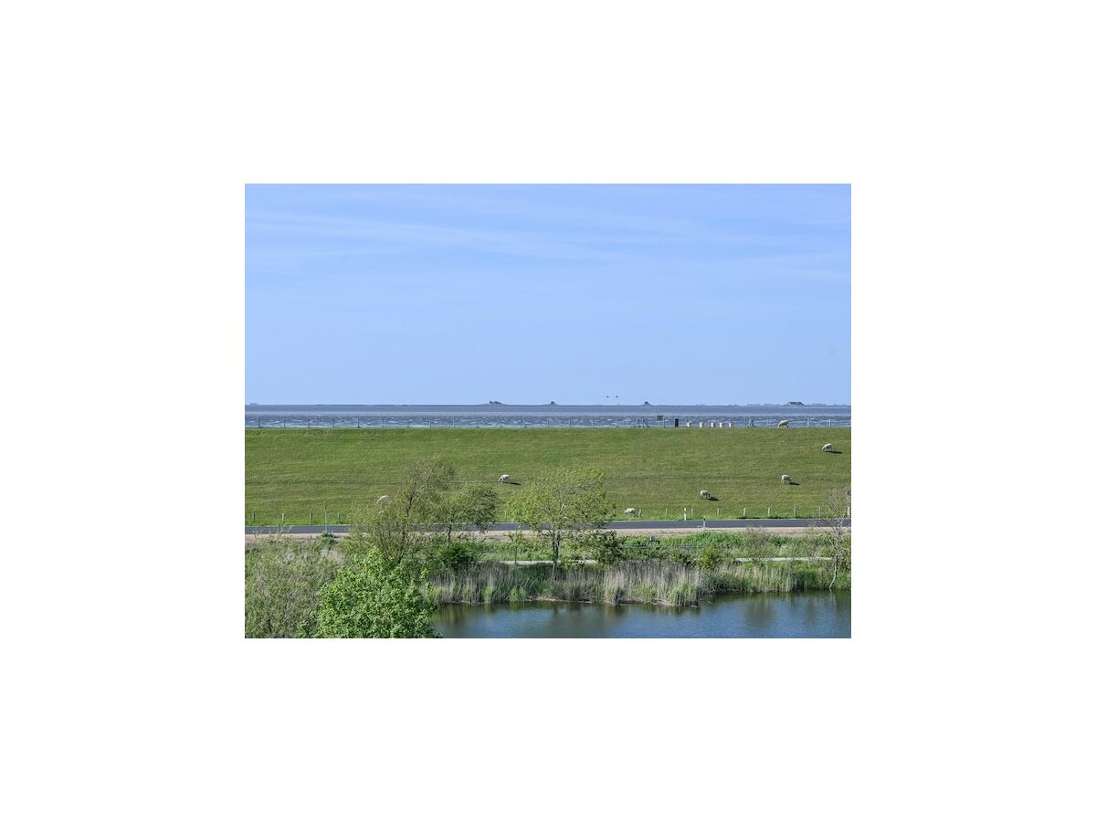Apartment Penthouse am Nordstrand auf dem Deich - Outdoor photo 3