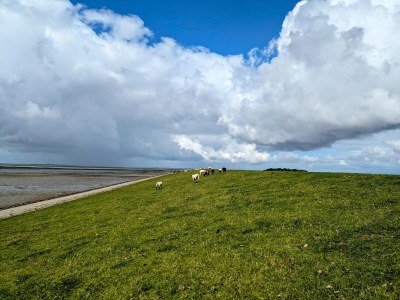 Apartment Appartement in fantastischer Lage auf Nordstrand - Environment photo 18