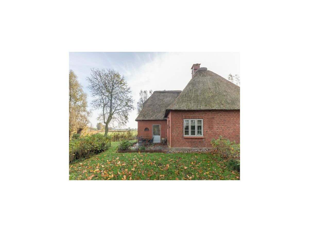 Holiday house reetgedecktes Ferienhaus mit Kachelofen - Outdoor photo 4