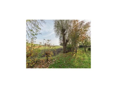 Holiday house reetgedecktes Ferienhaus mit Kachelofen - Outdoor photo 3