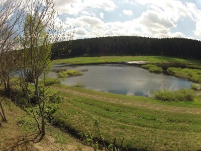Holiday house Doppelhaushälfte in Hasselfelde - Environment photo 23