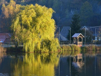 Holiday house Doppelhaushälfte in Hasselfelde - Environment photo 25