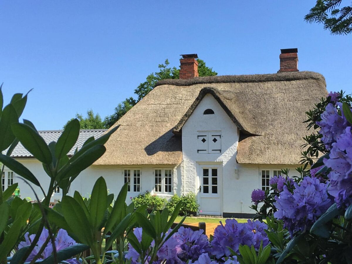 Holiday park reetgedecktes Ferienhaus in Humptrup