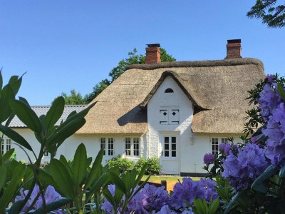 Holiday park reetgedecktes Ferienhaus in Humptrup in Süderlügum Region - Holiday park