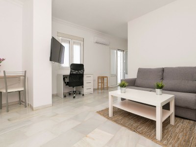 Apartment VERANO EN CHICLANA in Chiclana De La Frontera - Apartment