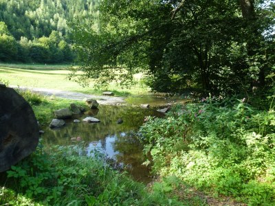 Apartment Ruhige 70qm-Ferienwohnung im Westerwald - Outdoor photo 4