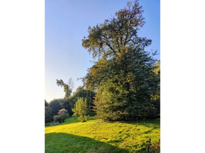 Apartment Allergikergerechte komfortable Ferienwohnung - Outdoor photo 9