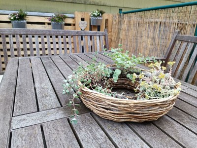 Apartment 2-Schlafzi Ferienhaus, Dusche, WC, - Outdoor photo 11