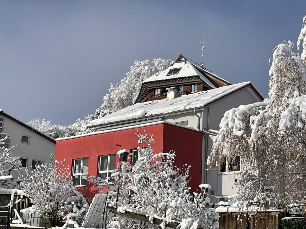 Holiday apartment Vitibuckblick