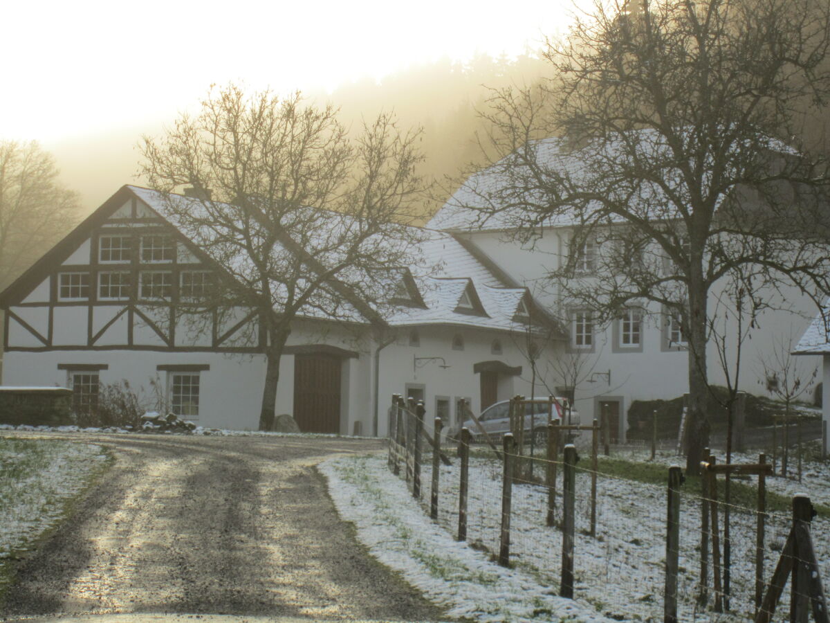 Holiday house Old "Mühlen-Remise"- Pets are welcome - Outdoor photo 4