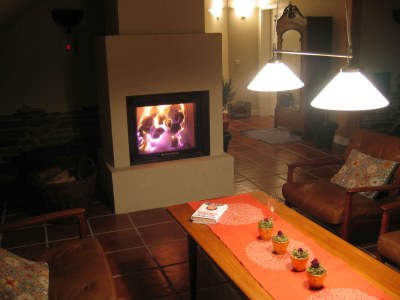 Holiday house Old "Mühlen-Remise"- Pets are welcome - Features photo 17