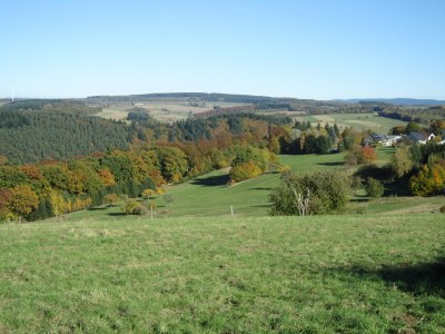 Holiday house Old "Mühlen-Remise"- Pets are welcome - Environment photo 20