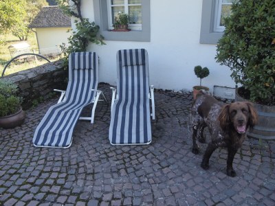 Holiday house Romantische alte Mühle-pets welcome - Outdoor photo 5