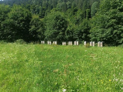 Apartment Appartement 2 - Outdoor photo 11