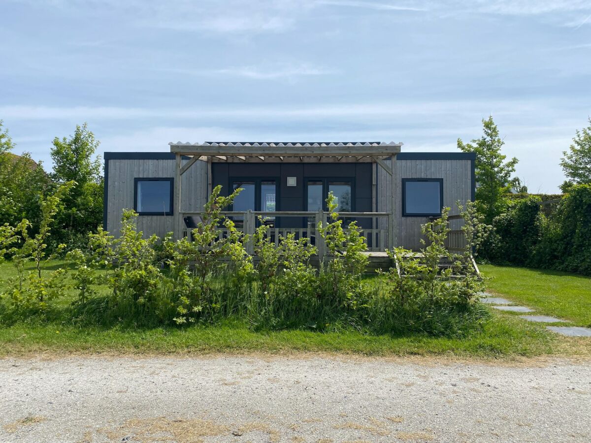 Chalet Chalet in Friesland nahe Naturgebieten