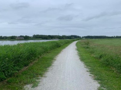 Chalet Chalet in Friesland nahe Naturgebieten - Environment photo 30