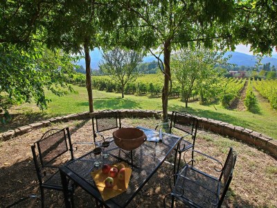 Farmhouse Raffinée Bauernhaus mit Blick auf den Pool - Outdoor photo 16