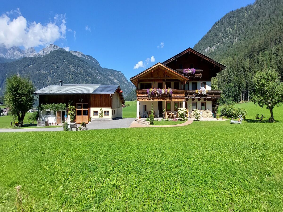 Apartment Wohnung in Saalfelden bei Skigebieten