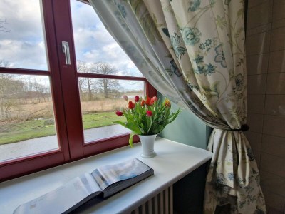 Apartment Wohnung in Satow mit Garten - Outdoor photo 31