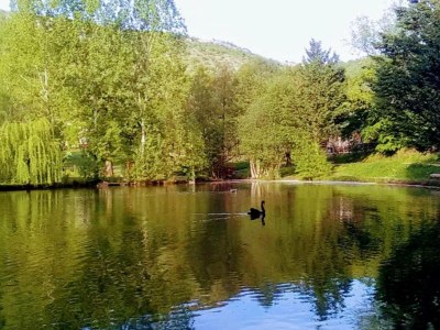 Holiday park Tranquil Escape with Pool - Environment photo 37
